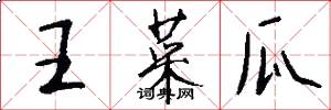 王菜瓜怎么写好看