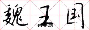 魏王国怎么写好看