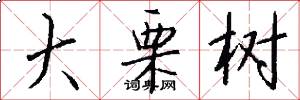 大栗树怎么写好看