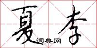 夏李怎么写好看