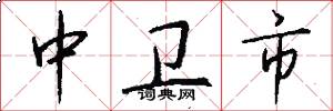 中卫市怎么写好看