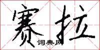 赛拉怎么写好看
