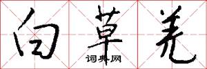 白草羌怎么写好看
