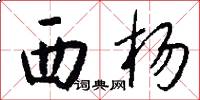 西杨怎么写好看