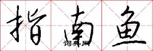 指南鱼怎么写好看
