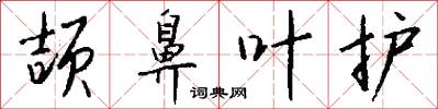 颉鼻叶护怎么写好看