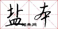 盐本怎么写好看