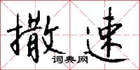 撒速怎么写好看