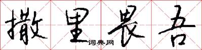 撒里畏吾怎么写好看