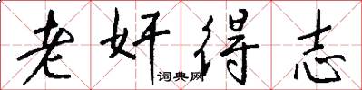 老奸得志怎么写好看