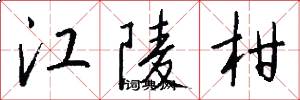 江陵柑怎么写好看