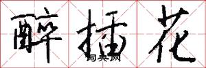 醉插花怎么写好看
