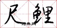尺鲤怎么写好看