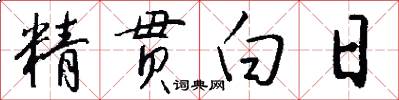 精贯白日怎么写好看