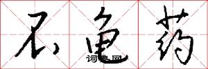 不龟药怎么写好看