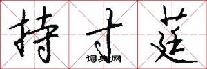 持寸莛怎么写好看