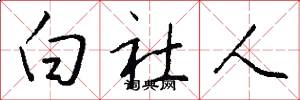 白社人怎么写好看