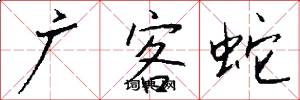 广客蛇怎么写好看