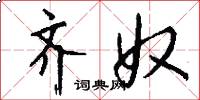 齐奴怎么写好看