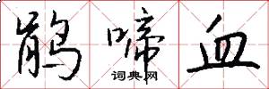 鹃啼血怎么写好看