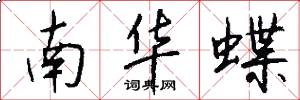 南华蝶怎么写好看