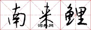 南来鲤怎么写好看