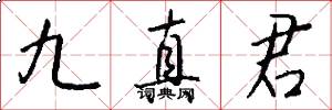 九真君怎么写好看