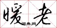 暖老怎么写好看