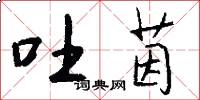 吐茵怎么写好看