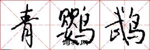 青鹦鹉怎么写好看