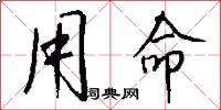 用命怎么写好看