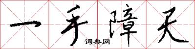 一手障天怎么写好看
