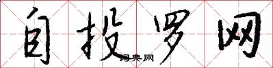 自投罗网怎么写好看