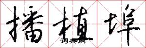 播植埠怎么写好看