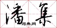 潘集怎么写好看