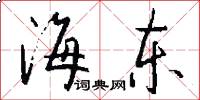 海东怎么写好看