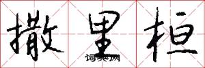 撒里桓怎么写好看