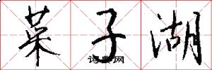 菜子湖怎么写好看