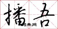 播吾怎么写好看