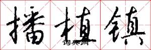 播植镇怎么写好看