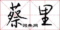 蔡里怎么写好看
