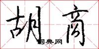 胡商怎么写好看