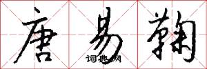 唐易鞠怎么写好看