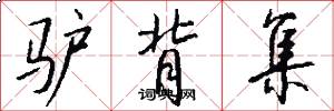 驴背集怎么写好看