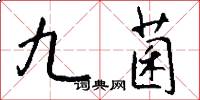 九菌怎么写好看