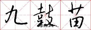 九鼓苗怎么写好看