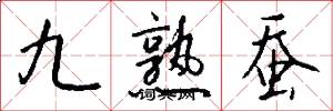 九熟蚕怎么写好看