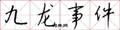 九龙事件怎么写好看