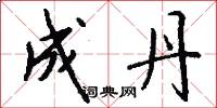 成丹怎么写好看