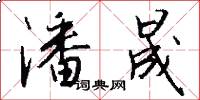 潘晟怎么写好看